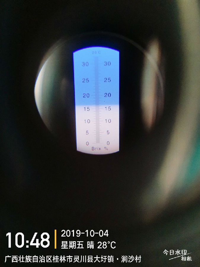 16.2.jpg