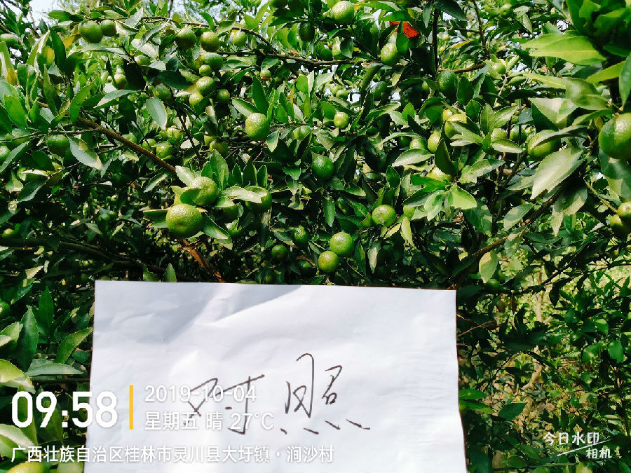 对照1.jpg